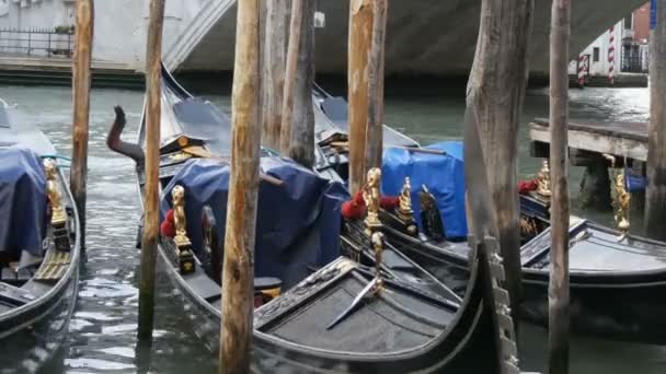 Hermosas góndolas negras con figuras doradas están estacionadas bajo un mundialmente famoso Puente de Rialto — Vídeos de Stock