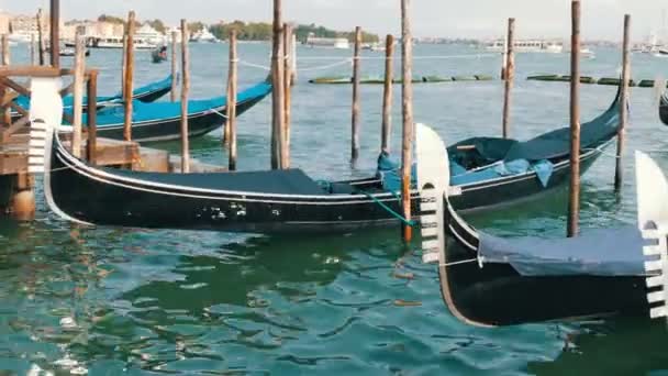 Schöne schwarze Gondeln stehen und schaukeln auf den Wellen des Canal Grande in Venedig — Stockvideo