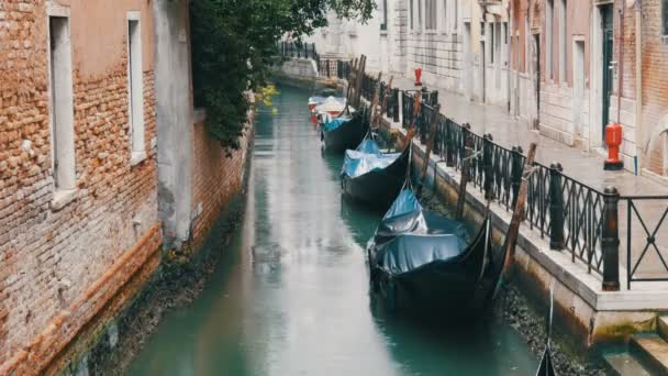 Venedik, İtalya, 7 Eylül 2017: Venedik gondol kanal yağmurda kürsüye, güzel siyah gondol stand ve dalgalar üzerinde rock — Stok video