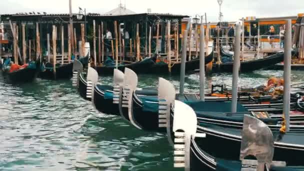 Benátky, Itálie, 7 září 2017: Mnoho krásných gondoly, které stojí v řadě na canal Grande, v němž sedí gondoliéři a kolem davy turistů — Stock video