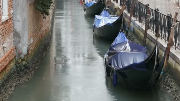 VENECIA, ITALIA, 7 DE SEPTIEMBRE DE 2017: Góndolas venecianas de pie en el canal bajo la lluvia, Hermosas góndolas negras de pie y roca en las olas — Vídeos de Stock