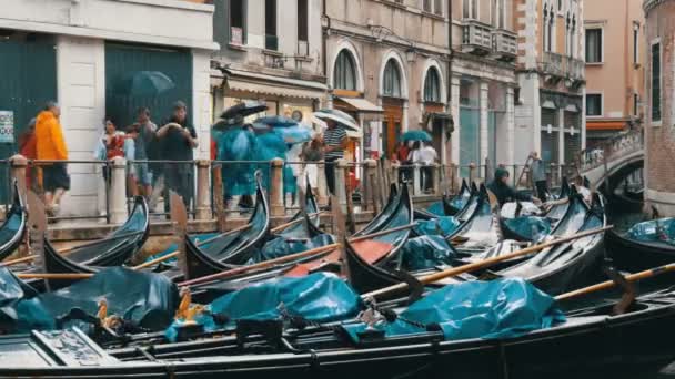 ВЕНИЦИЯ, ИТАЛИЯ, 7 СЕНТЯБРЯ 2017 г.: Венецианские гондолы стоят на канале под дождем, красивые черные гондолы стоят и скалы на волнах — стоковое видео