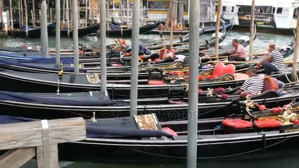 Venedig, Italien, 7 September 2017: Många vackra gondoler som står i rad på canal Grande, som sitta gondoler och förbi folkmassorna av turister — Stockvideo