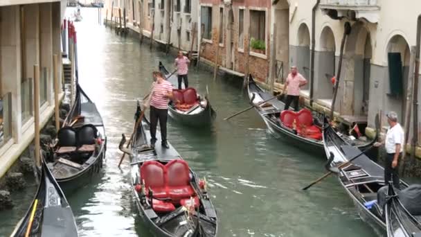 Venetië (Italië), 7 September 2017: één van een pittoreske Venetiaanse grachten waarop gondels en gondeliers uitgevoerd warmgewalste toeristen — Stockvideo