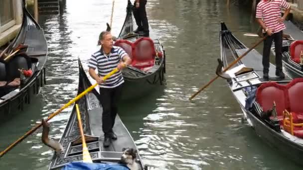 Benátky, Itálie, 7 září 2017: jeden z malebné benátské kanály, na kterých gondoly a gondoliéři spustit válcované turistů — Stock video