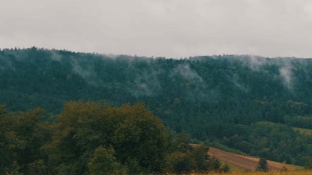 Польские Карпаты покрыты туманом — стоковое видео