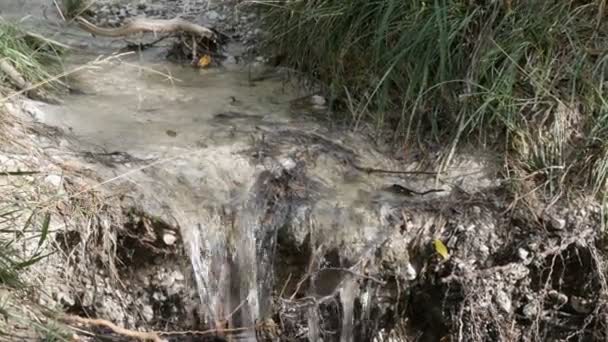 Gros plan d'une rivière en forêt, détail de l'écoulement de l'eau — Video