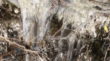 Orman, ayrıntı akan bir nehirde closeup su