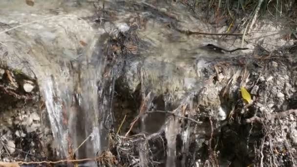 El agua en un hermoso río de montaña fluye — Vídeo de stock