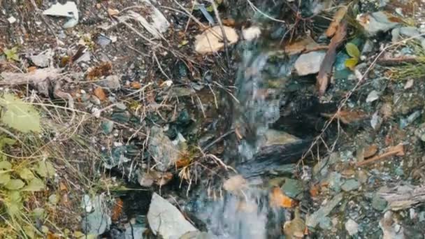 Reiner Gebirgsbach mit klarem Wasser fließt durch eine Grünfläche. — Stockvideo