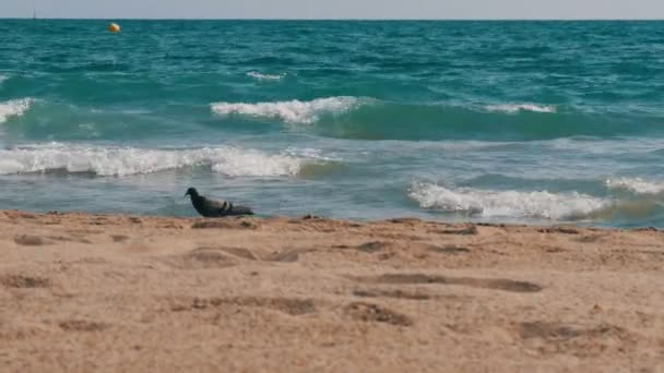 Gul sand på bakgrund av blå vågor av Medelhavet — Stockvideo