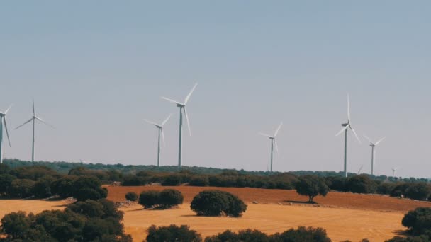 Lindas turbinas eólicas aproveitando energia limpa, verde e eólica em campos espanhóis. Tecnologia de energia eólica, tecnologia verde, uma solução de energia limpa e renovável — Vídeo de Stock