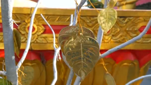 Albero artificiale con foglie d'oro su cui sono scritti desideri e sogni indirizzati al Buddha — Video Stock