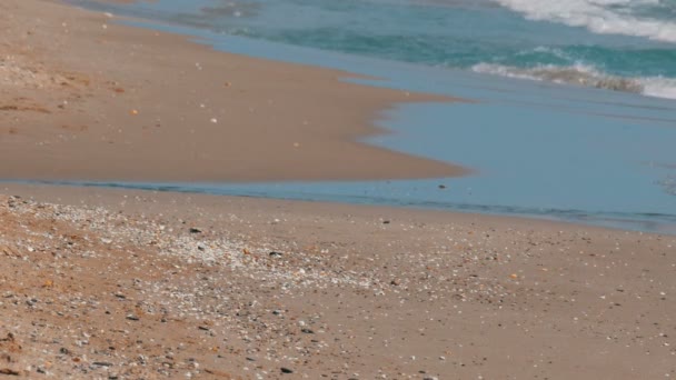 美丽的蓝色波浪和温泉沙子在夏天 — 图库视频影像