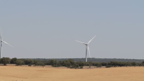 Tecnologia verde, uma solução de energia limpa e renovável, belas turbinas de moinho de vento aproveitando energia limpa, verde e eólica em campos espanhóis. Tecnologia de energia moinho de vento — Vídeo de Stock