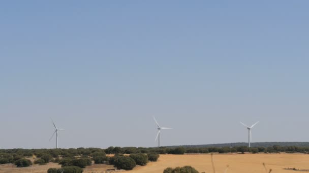 Windmolen machtstechnologie, groene technologie, een schone en hernieuwbare energie oplossing, mooie windmolen turbines gebruik te maken van schone, groene, windenergie in Spaanse velden — Stockvideo