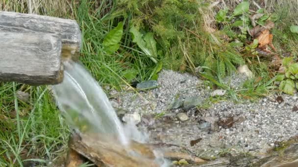 La rivière de montagne coule de la cuvette en bois. Pur ruisseau de montagne avec de l'eau claire coule à travers un espace vert . — Video