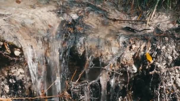 L'eau dans une belle rivière de montagne coule — Video