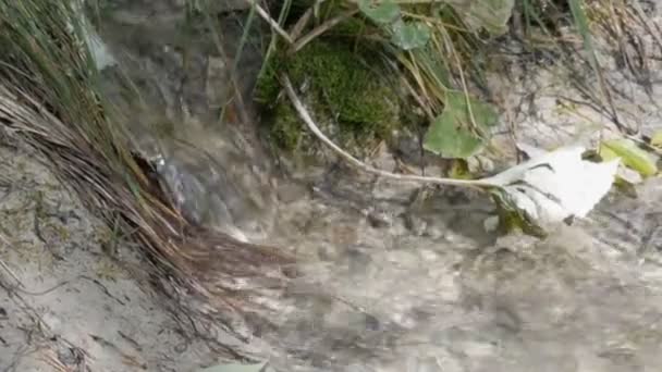 Agua cristalina transparente fluye hacia abajo en un manantial de montaña — Vídeos de Stock