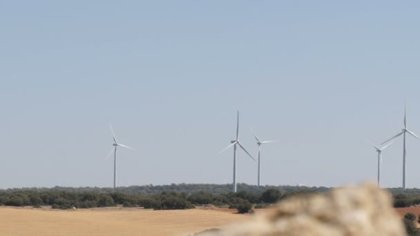 Groene technologie, een schone en hernieuwbare energie oplossing, mooie windmolen turbines gebruik te maken van schone, groene, windenergie in Spaanse velden. Windmolen machtstechnologie — Stockvideo