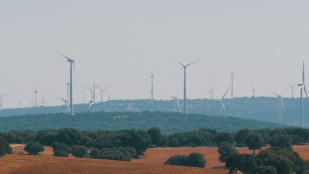 Tecnología de molinos de viento, Tecnología verde, una solución de energía limpia y renovable, Hermosas turbinas de molinos de viento aprovechando energía limpia, verde, eólica en los campos españoles — Vídeos de Stock