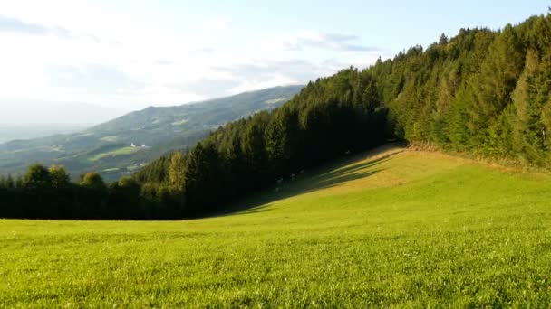 オーストリアのアルプスと緑豊かな緑の草の牧草地のビューの壮大な山の風景 — ストック動画