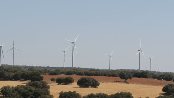 Πράσινη τεχνολογία, μια καθαρή και ανανεώσιμη ενεργειακή λύση, όμορφη στρόβιλοι Ανεμόμυλος αξιοποίηση καθαρό, πράσινο, αιολική ενέργεια σε Ισπανικά πεδία. Τεχνολογία power Ανεμόμυλος — Αρχείο Βίντεο
