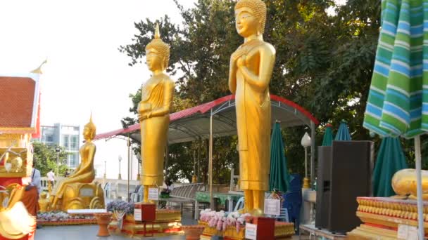 Golden statues of various Buddhist hypostases in a Great Buddha temple complex Pattaya, Thailand — Stock Video