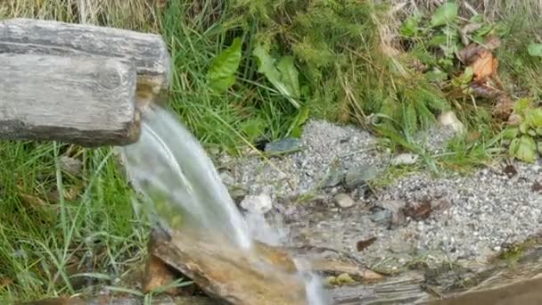 Gros plan de la rivière en forêt, détail de l'écoulement de l'eau. Pur ruisseau de montagne avec de l'eau claire coule à travers un espace vert — Video