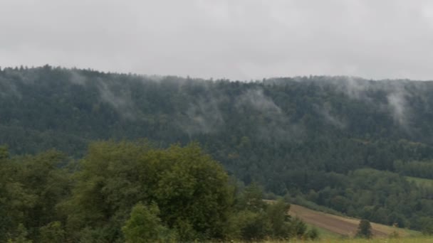 Польские Карпаты покрыты туманом — стоковое видео