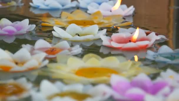 Hermosas velas de color cera en forma de flores de loto ardiendo y extintas flotando en el agua, vista de cerca — Vídeos de Stock