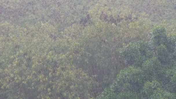 Тропічні зливи йдуть в Таїланді. Дощ за стіною — стокове відео