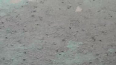 Ağır yağmur damlaları asfaltta düşmek. Tropikal yağmur