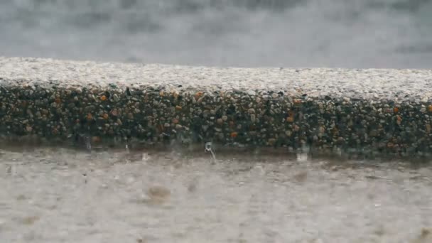 Krople deszczu spadnie na asfalcie. Tropikalnym strumieniem deszczowym — Wideo stockowe