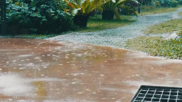 Deszcz jest w tropiki. Ulewa na ulicy — Wideo stockowe