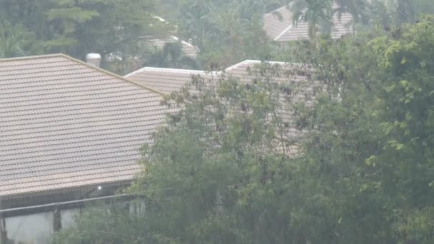 Ein tropischer Regenguss in Thailand. Regen an Wand — Stockvideo