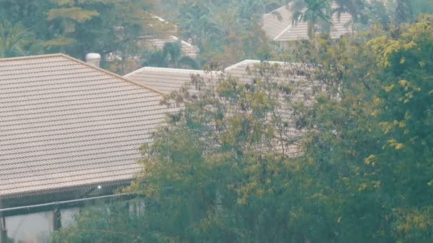 Tropický liják v Thajsku. Rain od zdi — Stock video