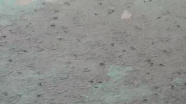 Druppels regen vallen op asfalt. Tropische regenval — Stockvideo