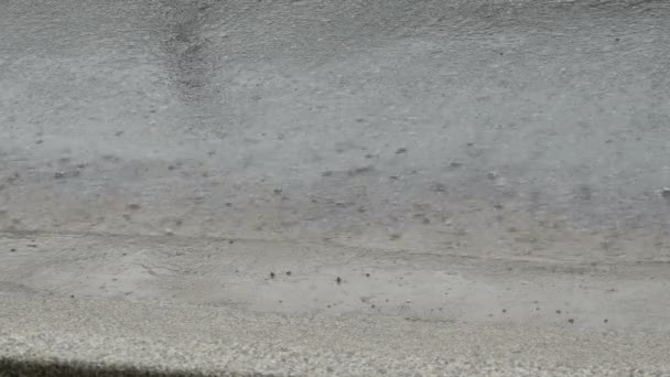 Gotas de fuertes lluvias caen sobre asfalto. Lluvias tropicales — Vídeo de stock