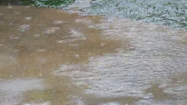 Des gouttes de fortes pluies tombent sur l'asphalte. Pluies tropicales 