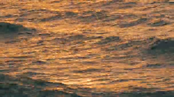 Um pôr-do-sol muito bonito à beira-mar. Ondas batidas na praia — Vídeo de Stock