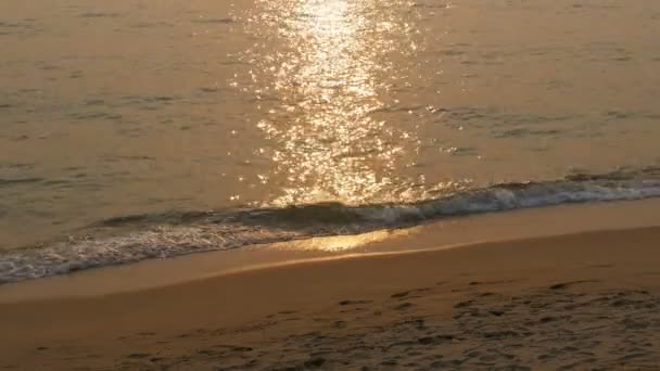 Пляжні та морські хвилі на заході сонця — стокове відео