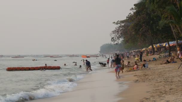 Pattaya, Thajsko - 4 února 2017: Lidé sedí na pláži před západem slunce. Turisté jsou spočívající na pobřeží — Stock video