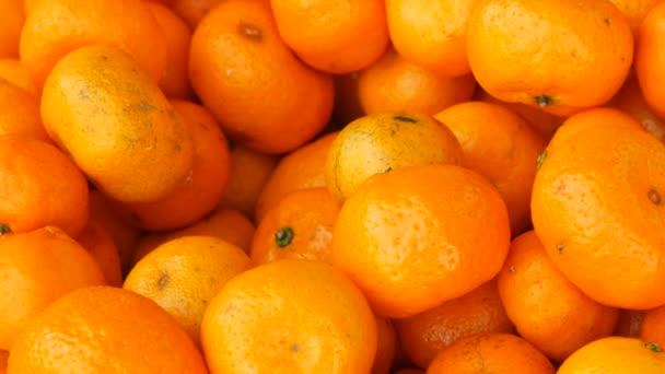 Lot of orange mandarin as a background — Stock Video