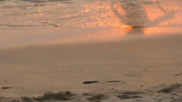 Silhouetten van een kind spelen op de achtergrond van de zeekust tijdens zonsondergang waarop de rode stralen van de ondergaande zon glans — Stockvideo