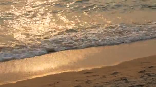 Beach and sea waves in sunset sun — Stock Video