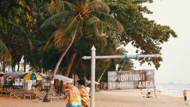 パタヤ, タイ, 2017 年 12 月 14 日: タイのココナッツ、ヤシの木とビーチ プロムナード観ビーチでくつろぐ人々。英語水泳領域で碑文を持つポインター — ストック動画