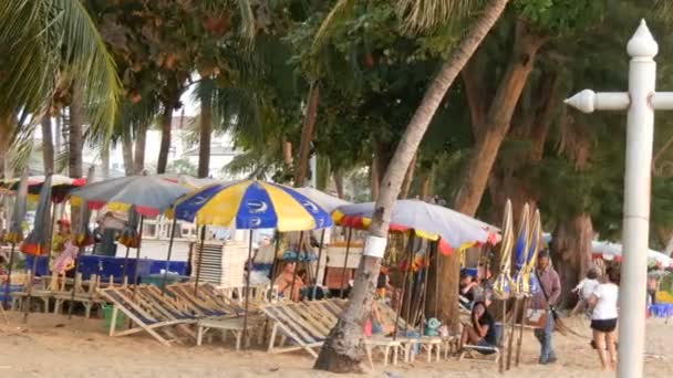ПАТТАЙЯ, ТАИЛАНД, 14 декабря 2017 года: Вид на пляжную набережную с пальмами и кокосами в Таиланде. Люди отдыхают на пляже. Указатель с надписью в области английского плавания — стоковое видео