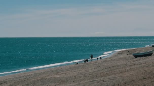 Siluetu člověka, který hraje se svými psy na pláži na pozadí jasné, modré Středozemní moře — Stock video