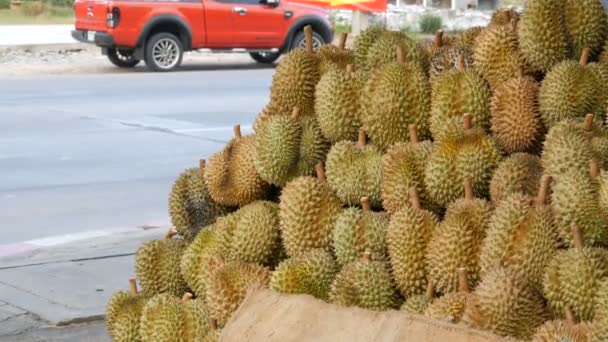 Durian sokak mağaza tezgahın üzerine var. Tayland ve Asya egzotik meyve — Stok video